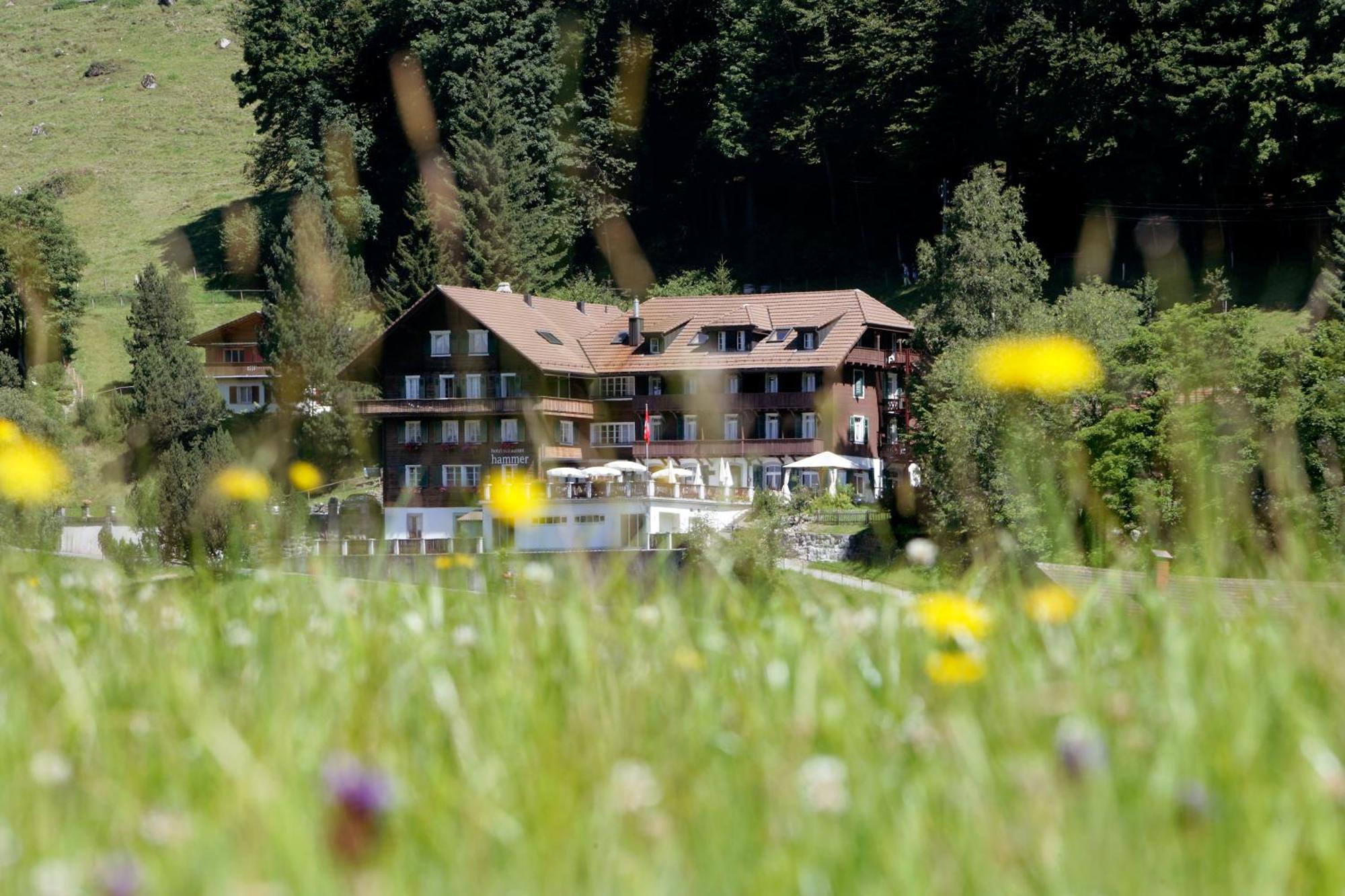Hotel Restaurant Hammer Eigenthal Extérieur photo